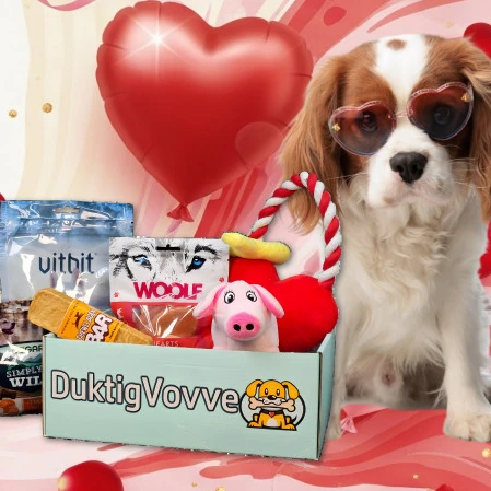 DuktigVovve prenumerationsbox för hund